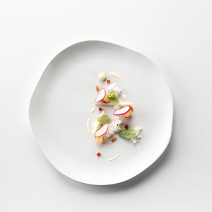 Farfurie plata Gastro Matt 29 cm V0388-0129MAT