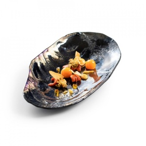 Farfurie shell TELLIN 24cm XGLAS-027