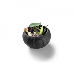 Mini Sea Urchin Black 8cm B0122-0057N