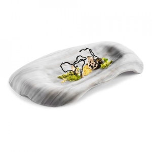 Platou servire NORDICA 32X20cm XGLAS-705
