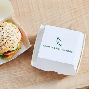 Set cutie Hamburger biodegradabila 20,5x10,7x7,7cm Q4020
