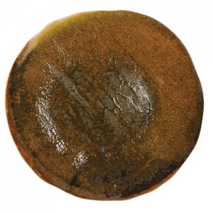 Farfurie coupe fel principal Genesis 31cm 18DC31GE