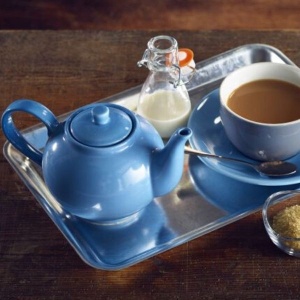Ceainic Terra Genware Porcelain 45cl Blue 393945BL
