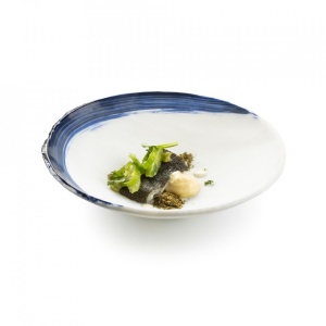 Bol salata OIA 21cm XGLAS-0605