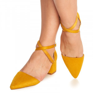Pantofi cu toc mic gros Ambrosine