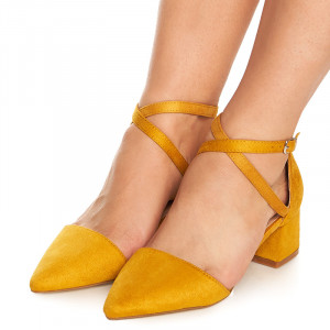 Pantofi cu toc mic gros Ambrosine