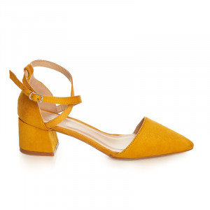 Pantofi cu toc mic gros Ambrosine
