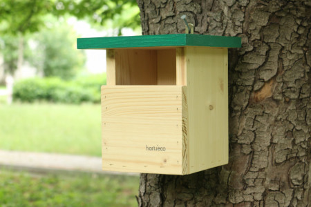 cuib pentru macaleandru, codrosu de munte, codrosu de padure, codobatura alba, muscar sur