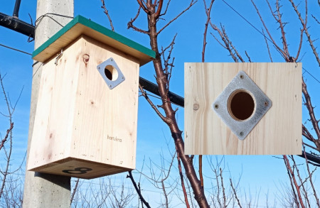 placuta antipadator cuiburi ciocanitori