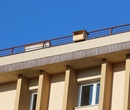 Cuib pentru Soim / Vanturel (Tip C)