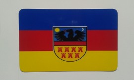 Magnet steagul Transilvaniei