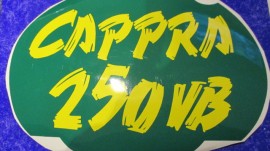 MONTESA CAPPRA 250 VB decal front number plate