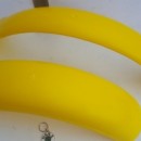 FENDERS OSSA GRIPPER OSSA TR FRONT & REAR NEW OSSA TR 80 FENDERS FRONT FENDER OSSA YELLOW MUDGUARDS OSSA 350 MUDGUARDS