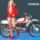 stainless steel spokes and nuts ossa enduro new set front and rear wheel
