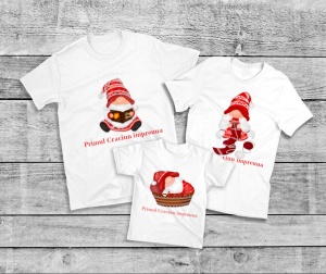 Set Printat Gnom 2
