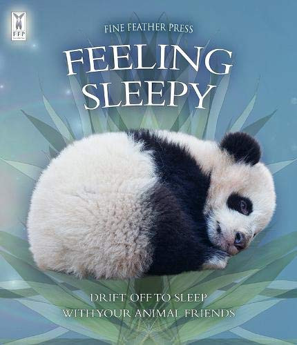 Feeling Sleepy - Drift Off to Sleep With Your Animal Friends
