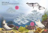 National Trust: Sharks, Seahorses and other British Sea Creatures (National Trust Sticker Spotter Bo