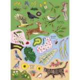 National Trust: Birch Trees, Bluebells and Other British Plants (National Trust Sticker Spotter Book