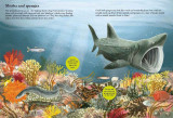 National Trust: Sharks, Seahorses and other British Sea Creatures (National Trust Sticker Spotter Bo