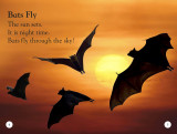 All About Bats: Explore the World of Bats! (DK Readers Level 1)
