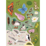 National Trust: Birch Trees, Bluebells and Other British Plants (National Trust Sticker Spotter Book