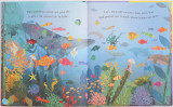 Sea - A World Beneath the Waves (board book)