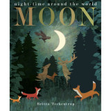 Moon (board book)