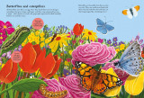 National Trust: Beetles, Butterflies and other British Minibeasts (National Trust Sticker Spotter Books)