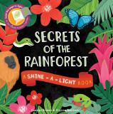 Secrets of the Rainforest: A shine-a-light book