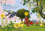 National Trust: Birch Trees, Bluebells and Other British Plants (National Trust Sticker Spotter Book