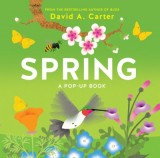 Spring: A Seasons Pop-up