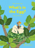 What's in the Egg? Pop-up Book