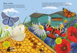 National Trust: Beetles, Butterflies and other British Minibeasts (National Trust Sticker Spotter Books)