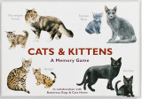 Cats & Kittens - A Memory Game