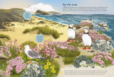 National Trust: Birch Trees, Bluebells and Other British Plants (National Trust Sticker Spotter Book
