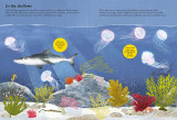 National Trust: Sharks, Seahorses and other British Sea Creatures (National Trust Sticker Spotter Bo