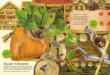 National Trust: Beetles, Butterflies and other British Minibeasts (National Trust Sticker Spotter Books)
