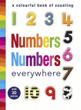 Numbers Numbers everywhere - A Colourful Book of Counting