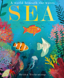 Sea - A World Beneath the Waves