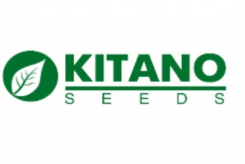 Kitano Seeds