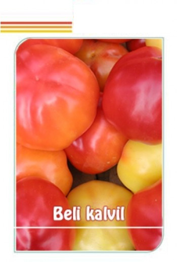 Beli Kalvil Ardei Gogosar (300 seminte), soi timpuriu foarte productiv, Superior Serbia