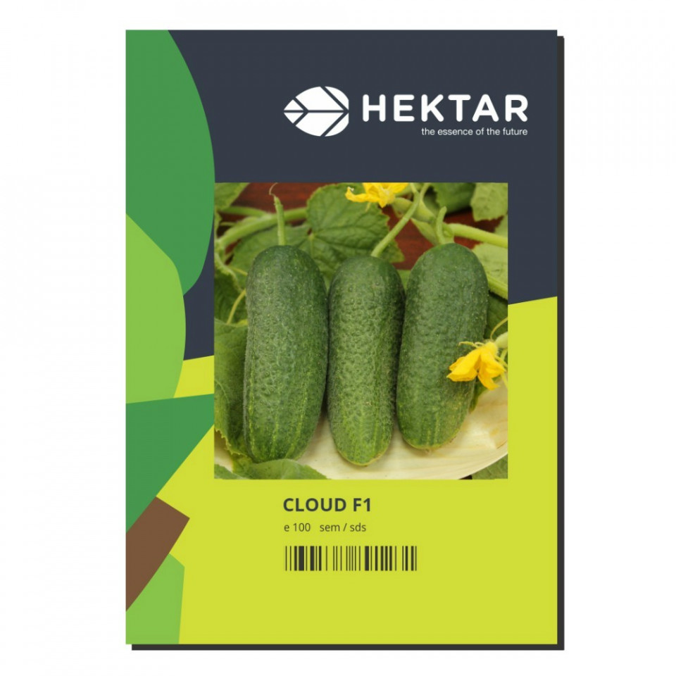 Cloud F1 (500 seminte) castraveti tip cornichon, partenocarpic cu fructe lungi, subtiri de culoare verde inchis, Hektar