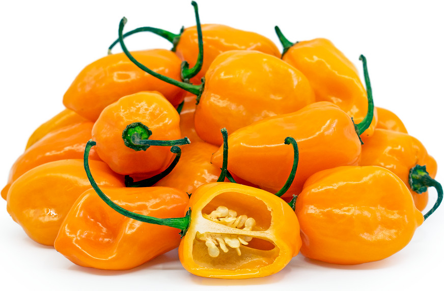 Habanero portocaliu Orange (20 seminte), ardei iute tip chili, Florian