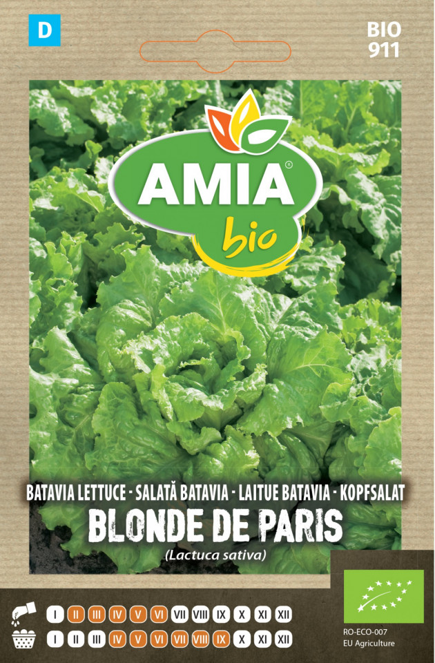 Batavia Blonde de Paris (800 seminte) salata ECO, certificate ecologic tip batavia, AMIA