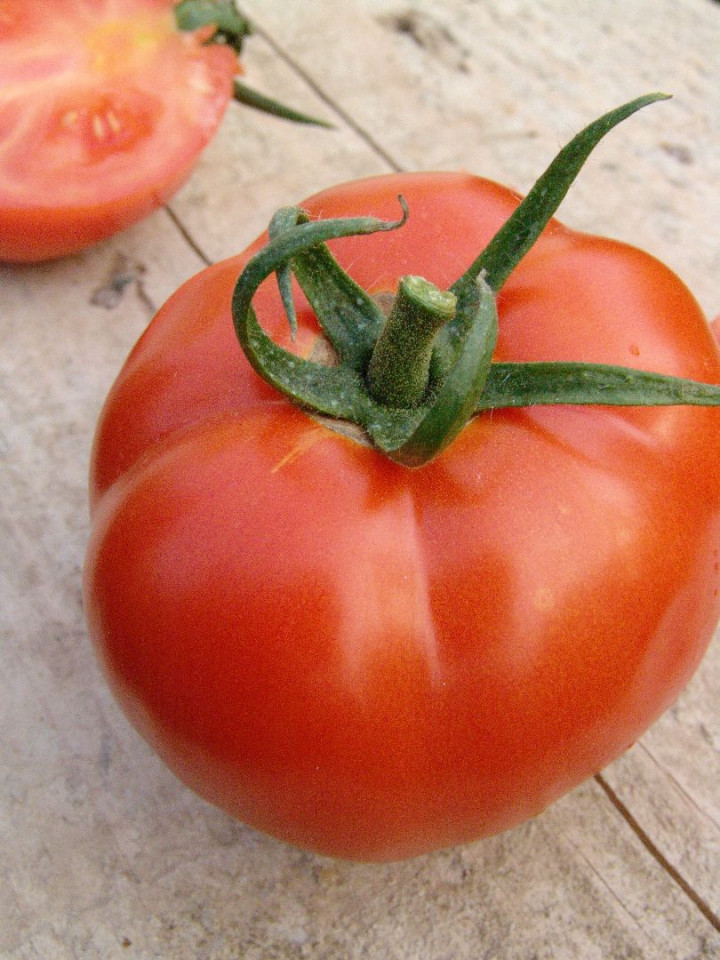Tomate Fantom F1 – 50 sem – Seminte Tomate Nedeterminate Semitimpurii Superior Serbia