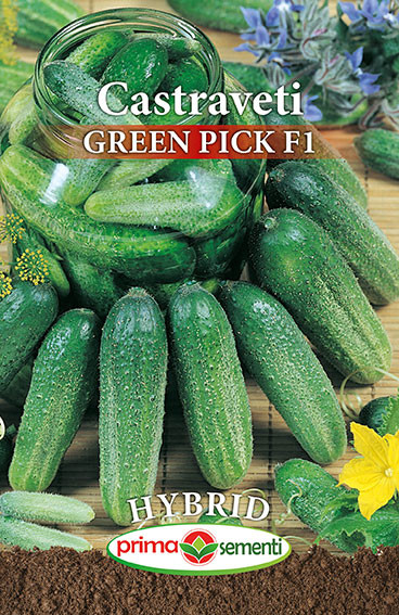 Green Pick F1 (200 seminte) de castraveti cornishon semitimpuriu de culoare verde inchis, Prima Sementi