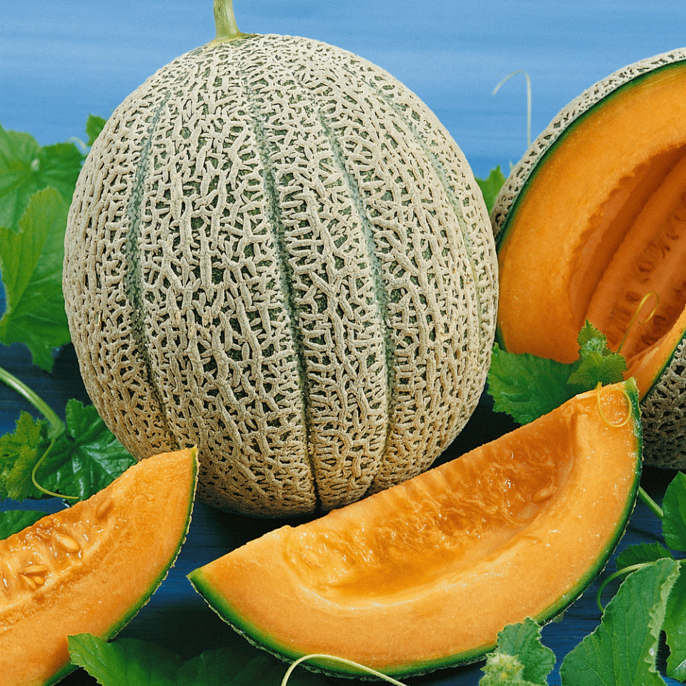 Hale's Best Jumbo (70 seminte) de pepene galben soi timpuriu, miez portocaliu, zemos, gust placut, Prima Sementi