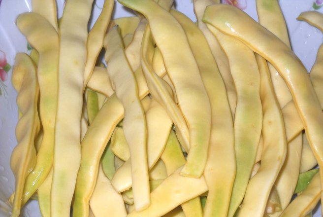 Juliska (100 grame) fasole urcatoare galbena, soi semitardiv, forma plata, Agrosem