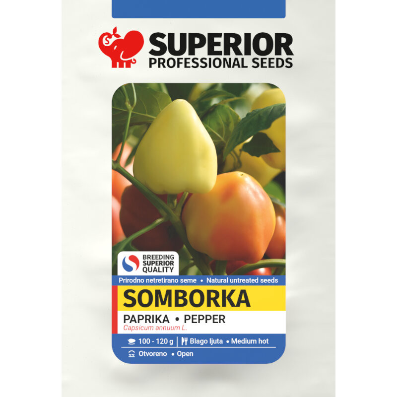 Somborka (300 seminte) ardei iute semi-gras in forma conica, se recolteaza de 5-6 ori pe sezon, Superior