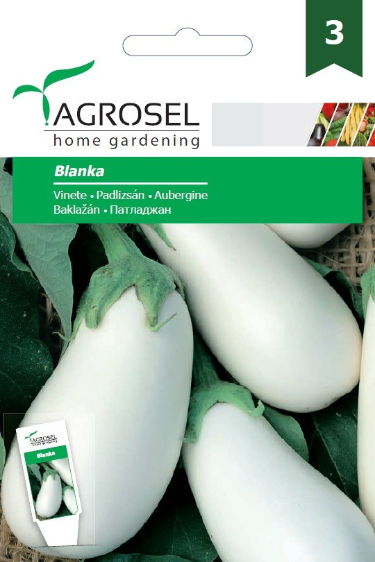 Vinete Albe Blanka (450 seminte), soi alb de vinete semitimpurii alungite, Agrosel